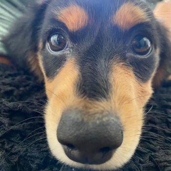 3b55473d-9eac-47d1-b290-fb2692903ef8