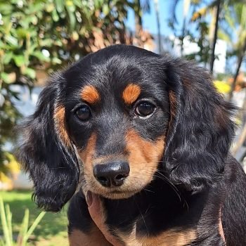 5a8f1feb-8b89-4e3d-9164-6d0e6f897536