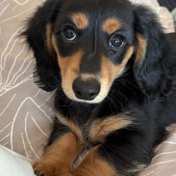 9720b24f-6c18-47b7-843f-e95521ebdac2